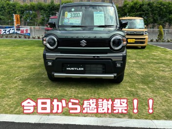 感謝祭はじまりました！タフワイルドあります！